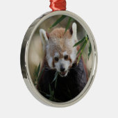 Red_Panda_2015_0311 Metalen Ornament (Rechts)