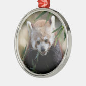 Red_Panda_2015_0311 Metalen Ornament (Links)