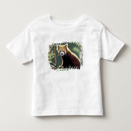 Red Panda Ailurus fulgens Kinder Shirts (Voorkant)