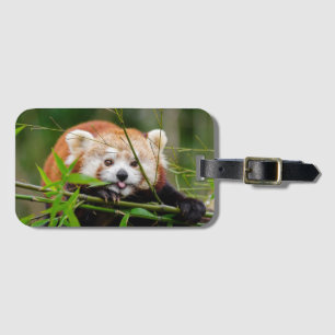 Red Panda Bagagelabel