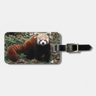 Red Panda Bagagelabel