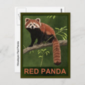 Red Panda Briefkaart (Voorkant / Achterkant)