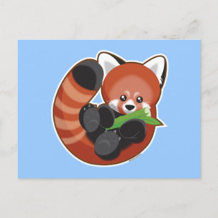 Red Panda Briefkaart