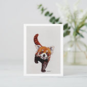 Red Panda Briefkaart (Staand voorkant)