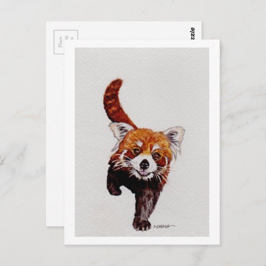 Red Panda Briefkaart (Voorkant / Achterkant)