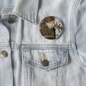Red Panda Button Badge (In situ)