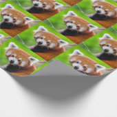 Red Panda Cadeaupapier (Hoek)