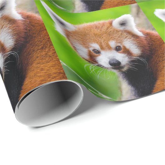 Red Panda Cadeaupapier (Rol Hoek)
