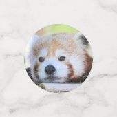 Red Panda Confetti (Kleine voorkant)