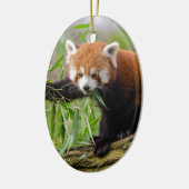 Red Panda Eating Green Leaf Keramisch Ornament (Links)