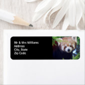 Red Panda Etiket (Insitu)