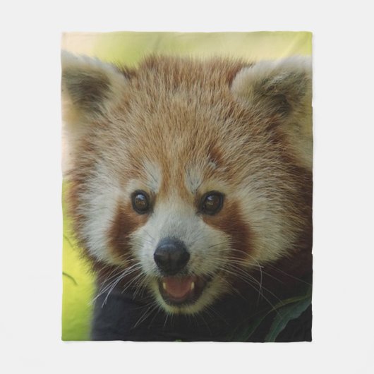 Red Panda Fleece Deken (Voorkant)