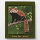 Red Panda Fotoplaat (Voorkant)