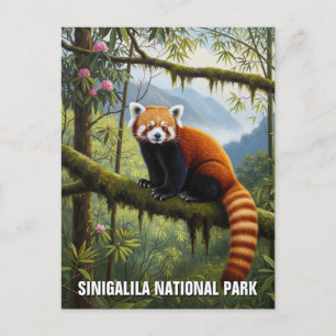 Red Panda in het Singalila National Park Briefkaart