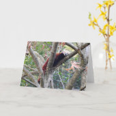 Red Panda Kaart (Gele Bloem)
