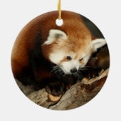 Red Panda Keramisch Ornament (Achterkant)