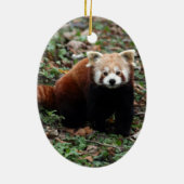 Red Panda Keramisch Ornament (Achterkant)