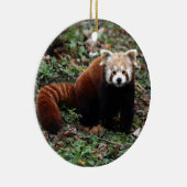 Red Panda Keramisch Ornament (Rechts)