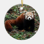 Red Panda Keramisch Ornament (Voorkant)