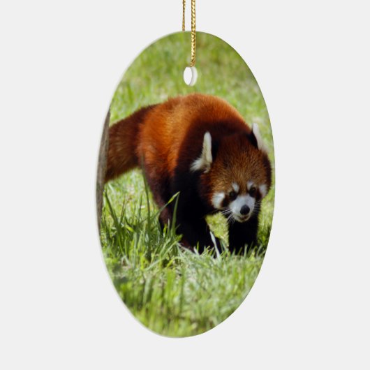 Red Panda kerstversiering Keramisch Ornament (Rechts)