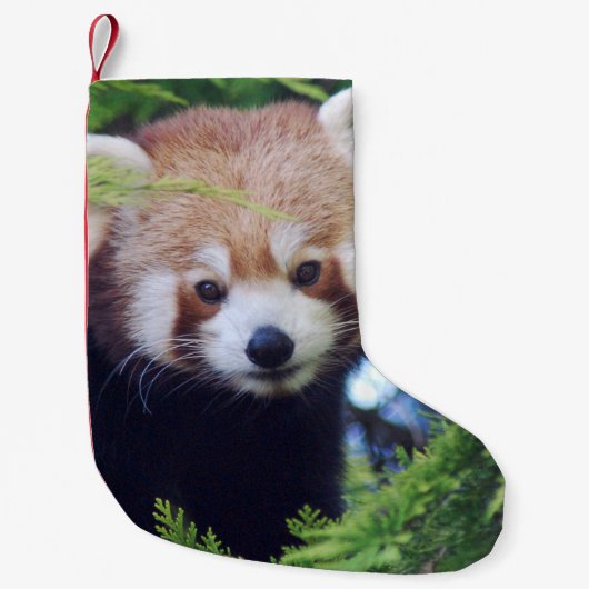 Red Panda Kleine Kerstsok (Voorkant)