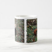 Red Panda Koffiemok (Center)