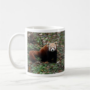 Red Panda Koffiemok