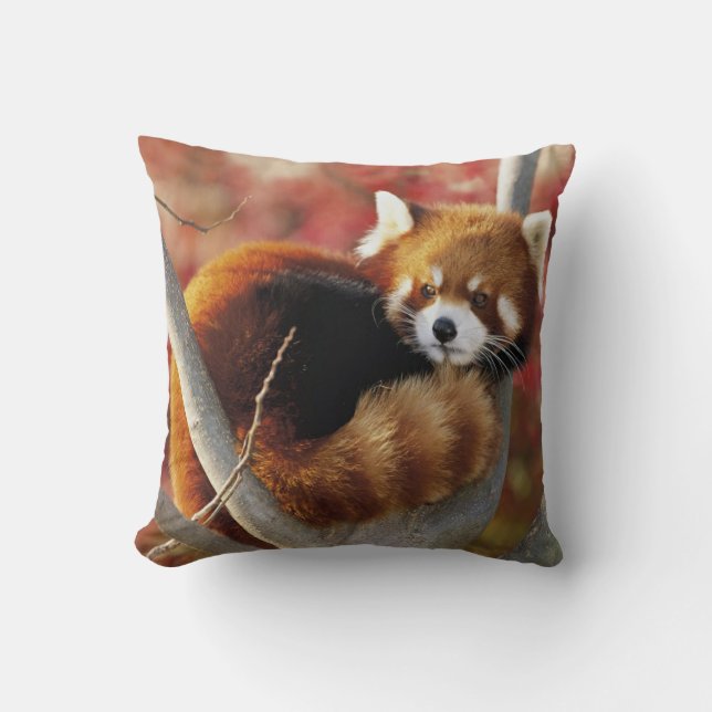 Red Panda Kussen (Voorkant)