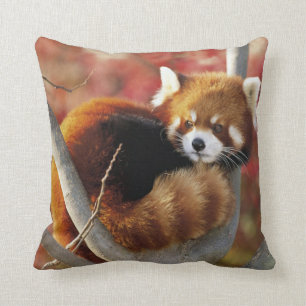 Red Panda Kussen