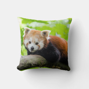 Red Panda Kussen