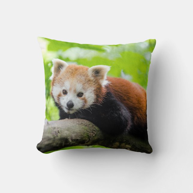 Red Panda Kussen (Voorkant)