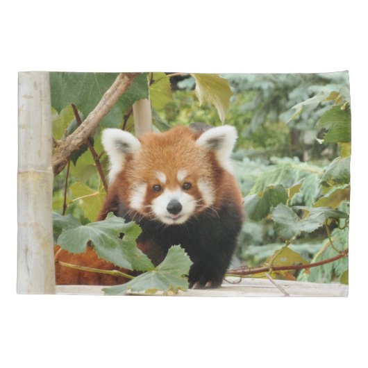 Red Panda Kussensloop (Achterkant)