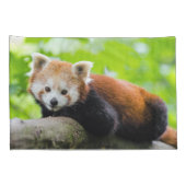 Red Panda Kussensloop (Achterkant-Rechts)