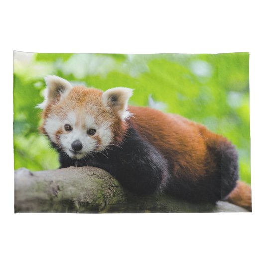 Red Panda Kussensloop (Achterkant-Rechts)