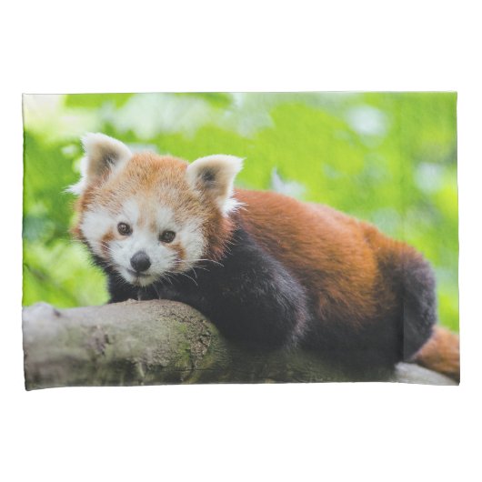 Red Panda Kussensloop (Voorkant-Rechts)