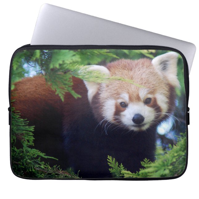 Red Panda Laptop Sleeve (Voorkant)