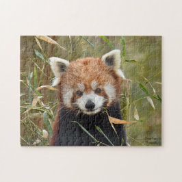 Red Panda Legpuzzel