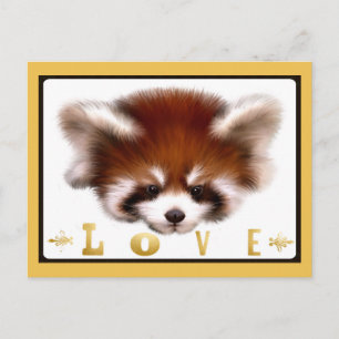Red Panda Love Briefkaart