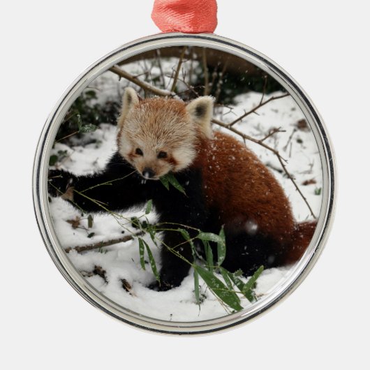 Red Panda Metalen Ornament (Voorkant)