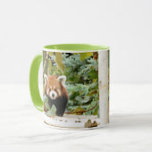 Red Panda Mok (Voorkant links)