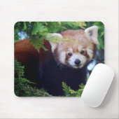 Red Panda Mousepad Muismat (Met muis)