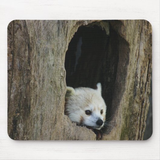 Red Panda Muismat (Voorkant)
