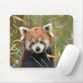 Red Panda Muismat (Met muis)