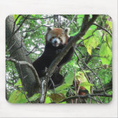 Red Panda Muismat (Voorkant)