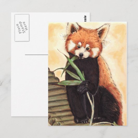 Red Panda Nom Briefkaart (Voorkant / Achterkant)