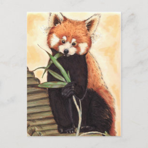 Red Panda Nom Briefkaart