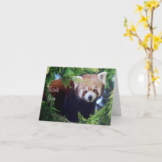 Red Panda Note Kaart (Gele Bloem)