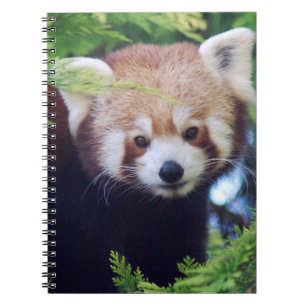 Red Panda Notitieboek