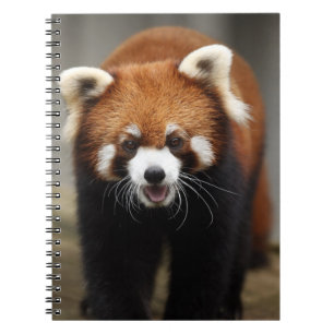 Red Panda Notitieboek