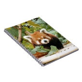 Red Panda Notitieboek (Rechterzijde)